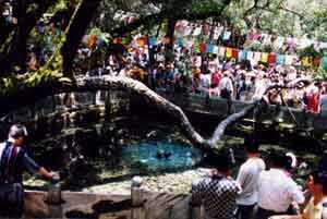 dl03.jpg (22162 ֽ)