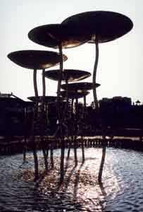 sb07.jpg (15737 ֽ)