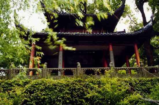 wh01.jpg (49870 字节)