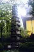 wh07a.jpg (9847 ֽ)