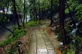 wh14a.jpg (10967 ֽ)