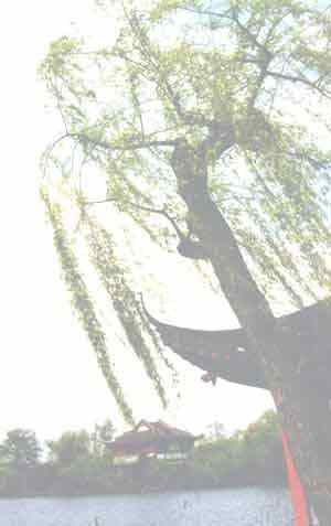 wh25.jpg (17134 ֽ)